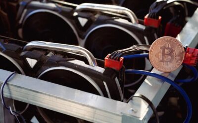 Co to koparka kryptowalut i jak działa w świecie cyfrowej gospodarki