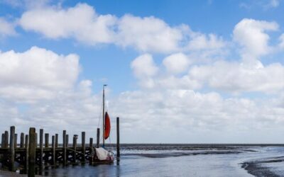 Polski Ład ile zyskamy dzięki nowym rozwiązaniom?