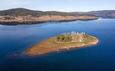 Ile na IKE można wpłacić w trakcie roku?